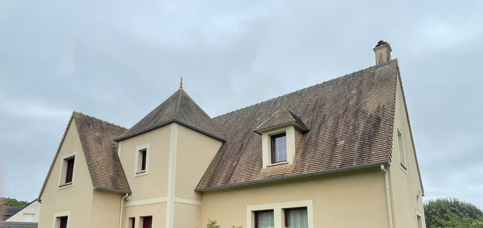 Démoussage de toiture avant